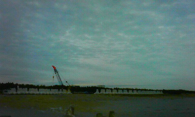 201002082223000.jpg