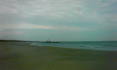 201002082225000.jpg