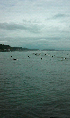 P1001003.jpg