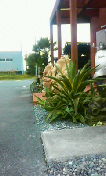 201003022154000.jpg