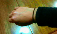 201003022150000.jpg