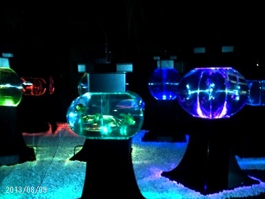 20130809_205216¡¡ART AQUARIUM /¥¢¡¼¥È¥¢¥¯¥¢¥ê¥¦¥àŸ¡Á̾¸Å²°¡¦¶âµû¤Î²í¡Á
