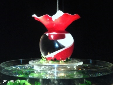 ART AQUARIUM _KINGYO/¥¢¡¼¥È¥¢¥¯¥¢¥ê¥¦¥àŸ〜̾¸Å²°¡¦¶âµû¤Î²í〜