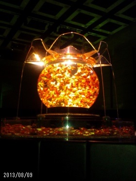 20130809_203031 ART AQUARIUM Oiran /¥¢¡¼¥È¥¢¥¯¥¢¥ê¥¦¥àŸ〜̾¸Å²°¡¦¶âµû¤Î²í〜