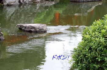亀3