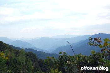 山