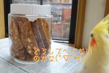 コウメとビスコッティ