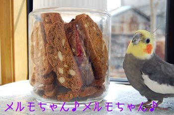 チョコとビスコッティ
