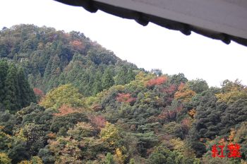 紅葉