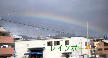 虹
