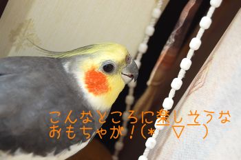 チョコのイタズラ
