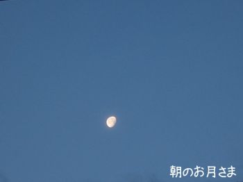 朝の月