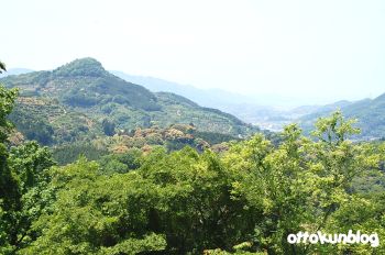テラス席からの眺望