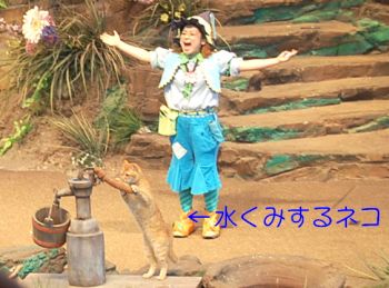 水汲み猫