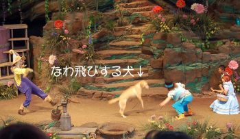 縄跳び犬