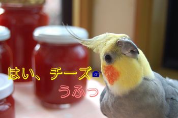 ジャムとチョコ