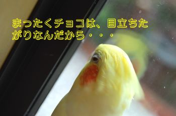 小梅