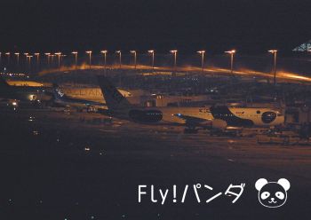 フライパンダ