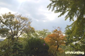 秋空