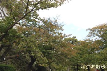 秋の公園
