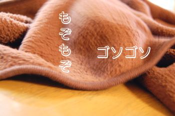 毛布