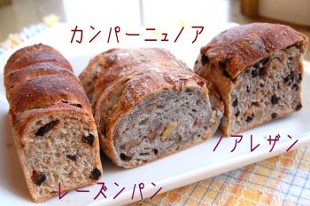 ドーシェル