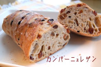 ドーシェル