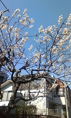20090315134625.jpg