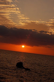 ±©º¬Ì¨¤ÎͼÍÛ