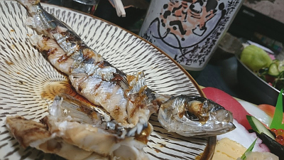 トビウオと可