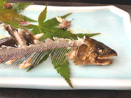 山のれすとらん さかた 振草川の鮎