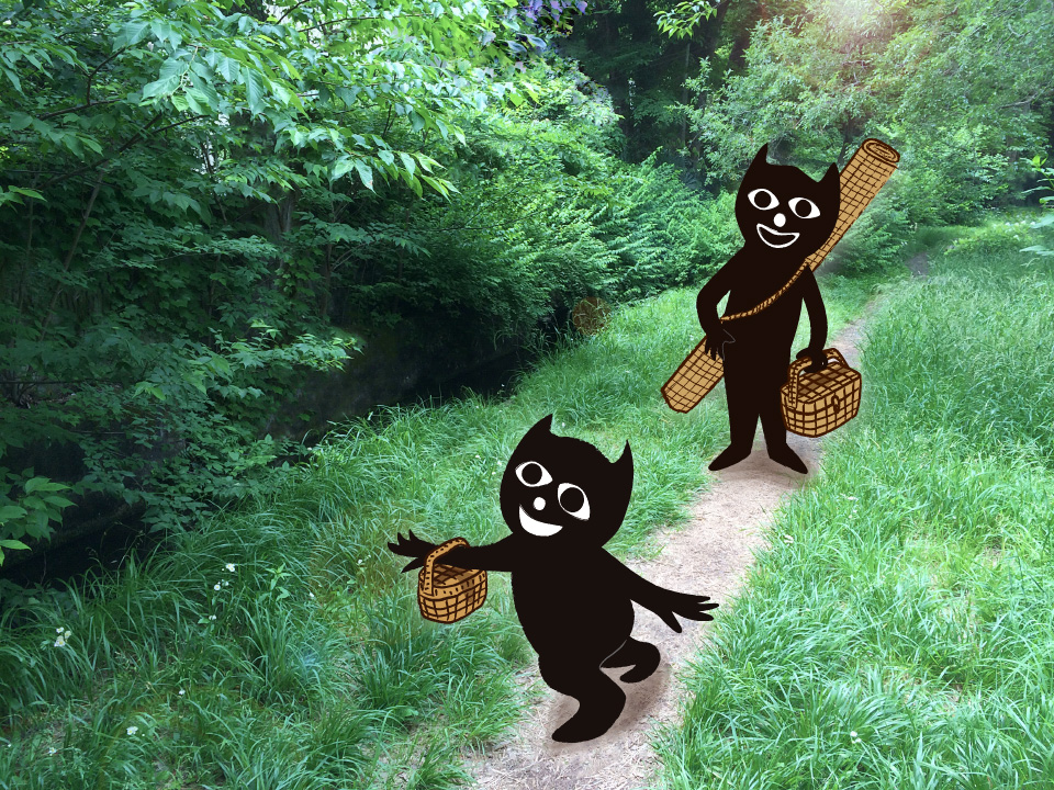 picnic960.jpg