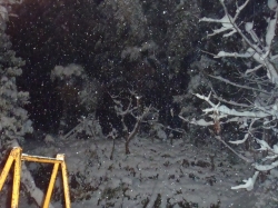 雪景色