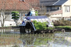田均し