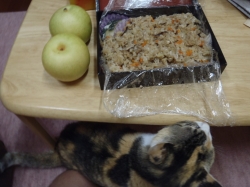 おいしい五目ごはん♪