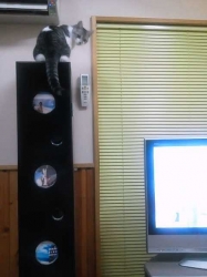 そら