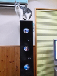 そら