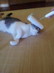 そら