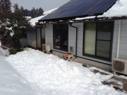 落雪
