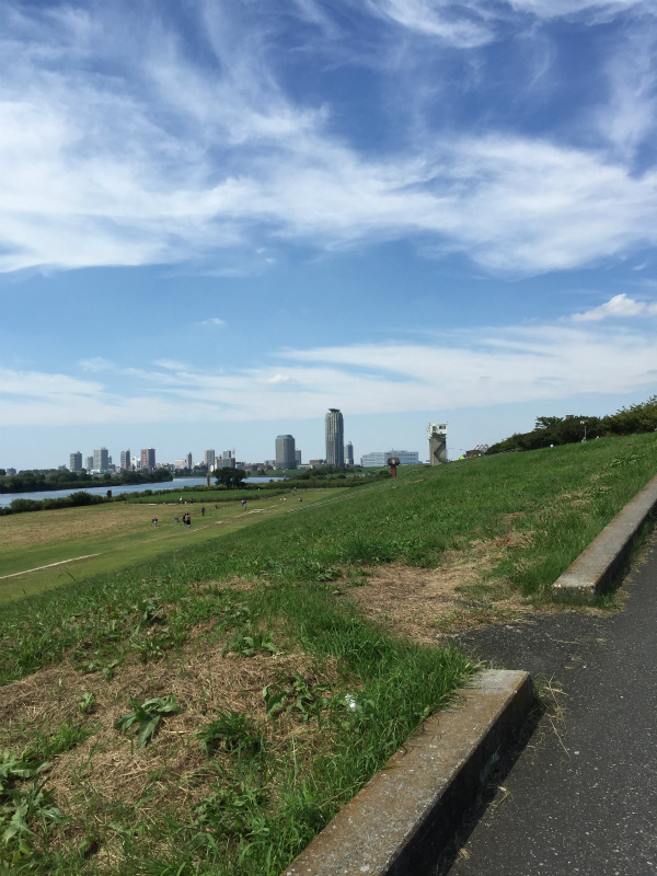 2014-09-21 12.36.09.jpg