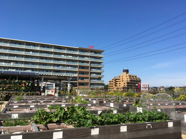 2016-05-18 14.54.01.jpg