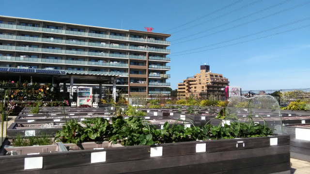 2016-05-18 14.54.36.jpg