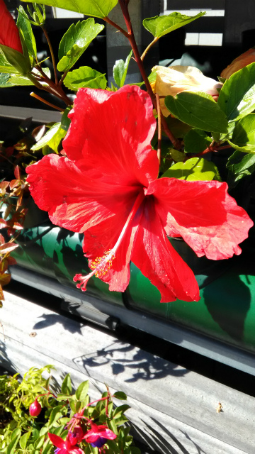 2016-05-18 15.00.21.jpg