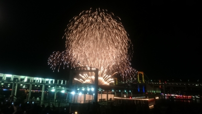 子供と花火 お台場の冬の花火 お台場レインボー花火17 空いてて幼児も飽きずに楽しめる 子供と犬と日常と