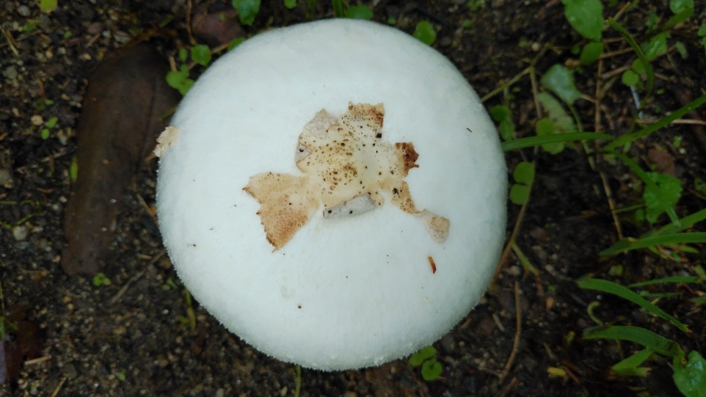 20190905_2904810.jpg