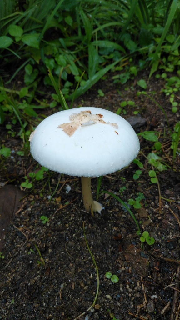 20190905_2904812.jpg