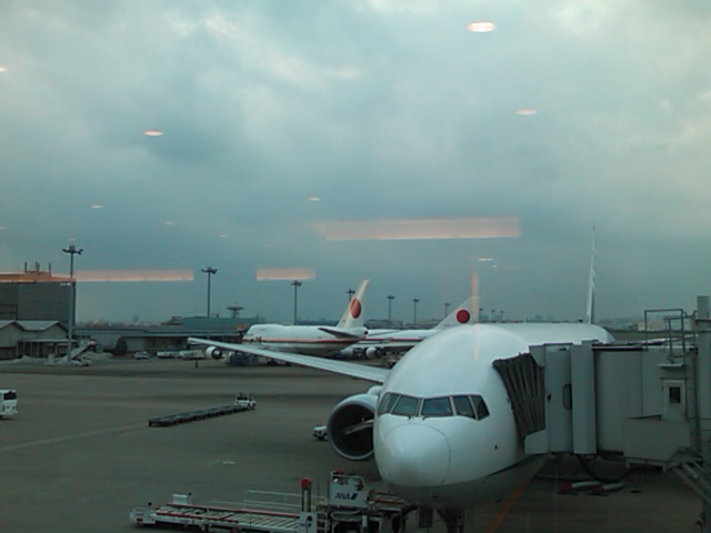 SN3K0460.jpg
