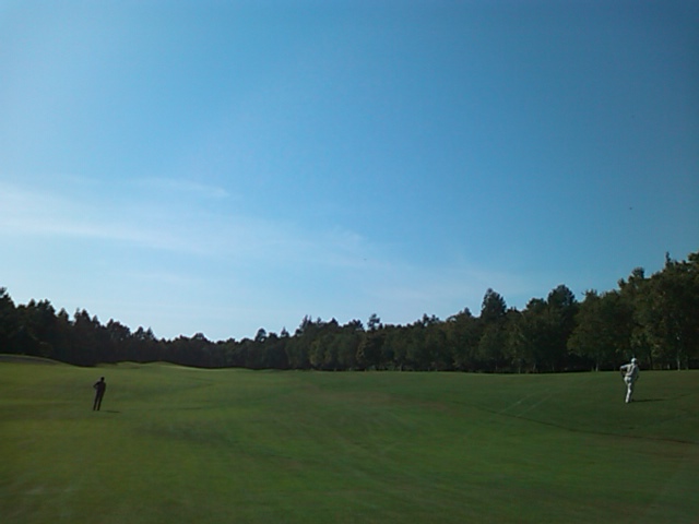 SN3K0552.jpg