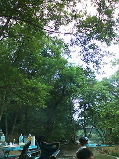 SN3K15720001.jpg