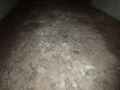 P1230064.JPG